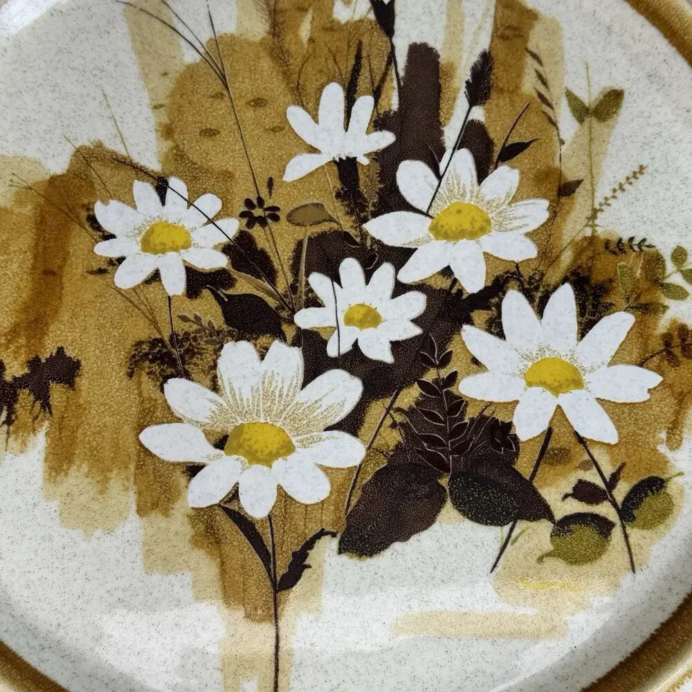 Lot of 5 Mikasa Daisy Mae Stone Manor Plates & Bowls Set MCM Floral Brown Japan